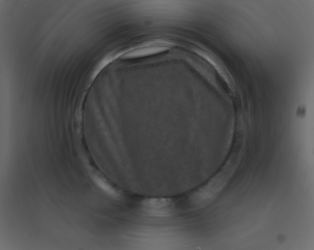 X0000094950858200712131621