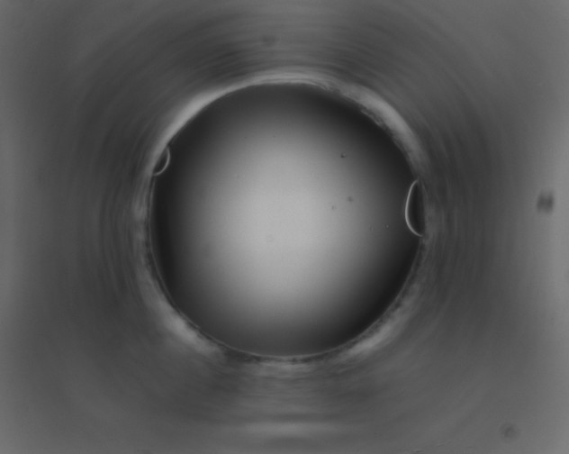 X0000094950860200712131621