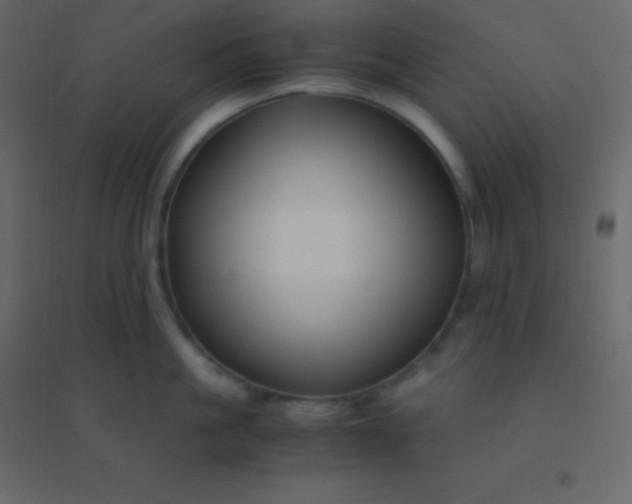 X0000094950861200712131621