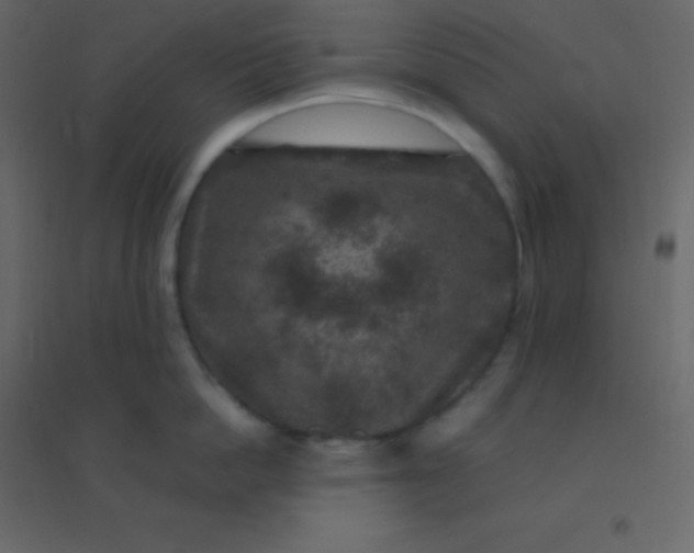 X0000094950862200712131621