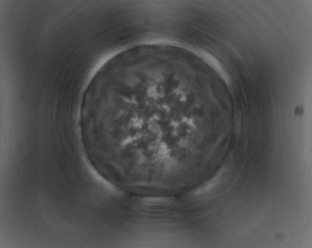 X0000094950863200712131621