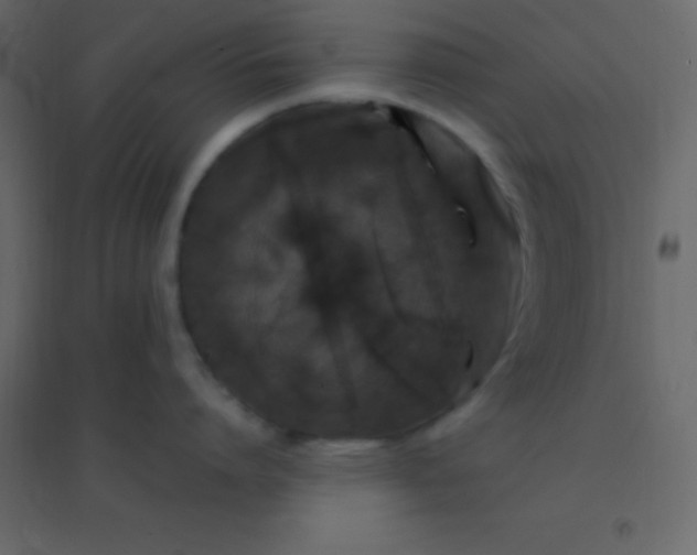 X0000094950864200712131621