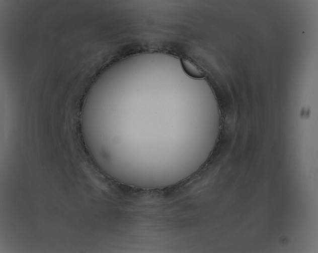 X0000094950865200712131620