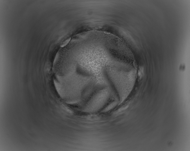 X0000094950867200712131620