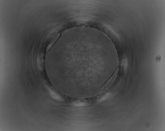 X0000094950868200712131620