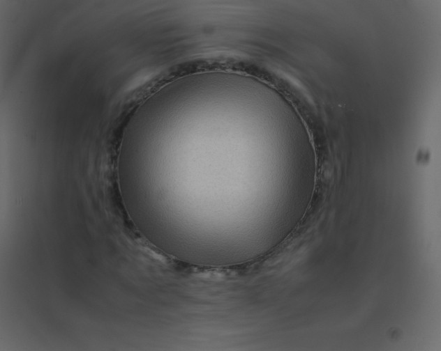 X0000094950869200712131620