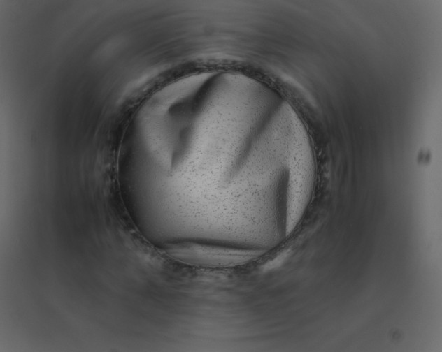 X0000094950870200712131620