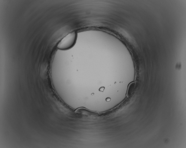 X0000094950873200712131620