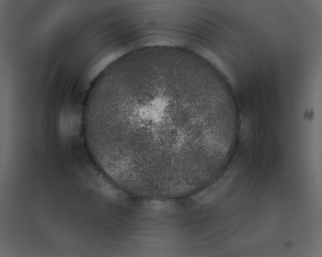 X0000094950874200712131620