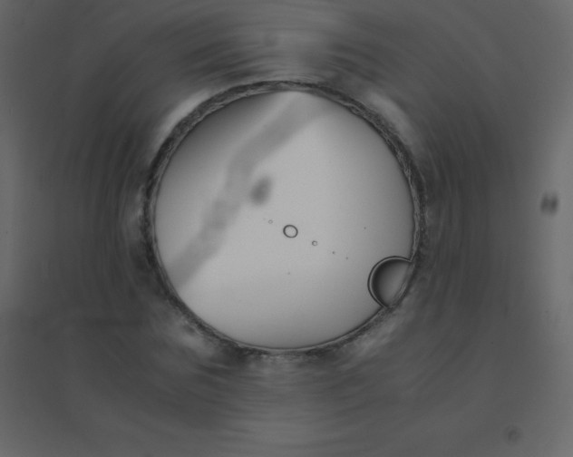 X0000094950875200712131620