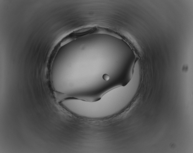 X0000094950876200712131620