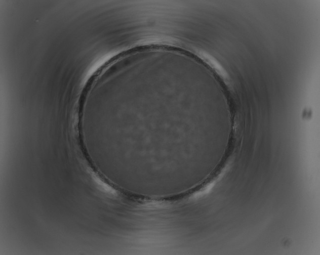 X0000094950877200712131620