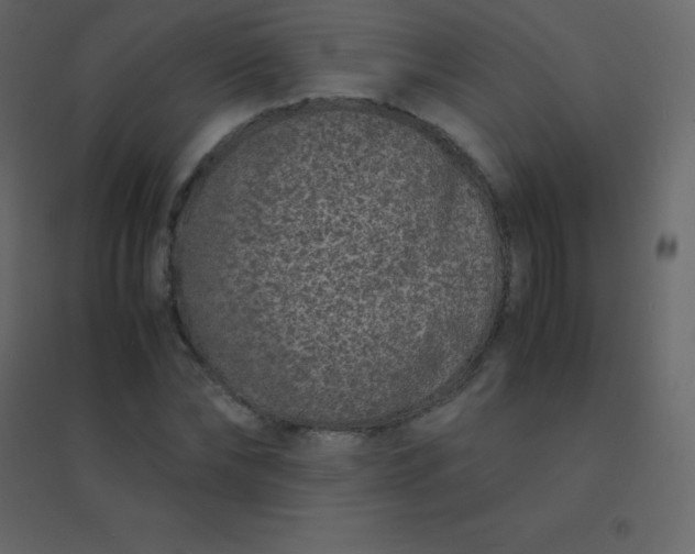 X0000094950878200712131620