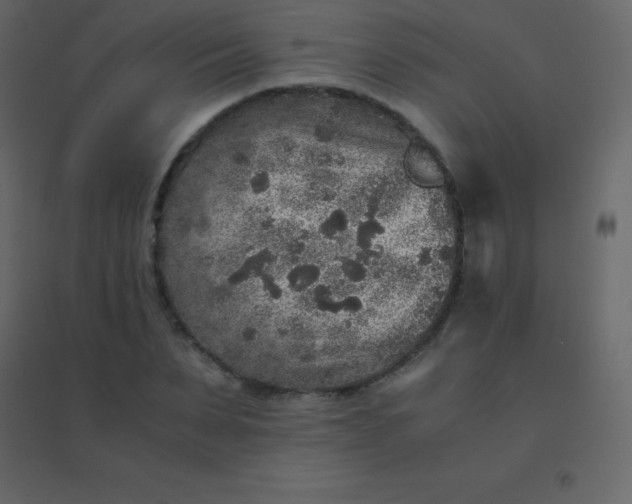 X0000094950879200712131620