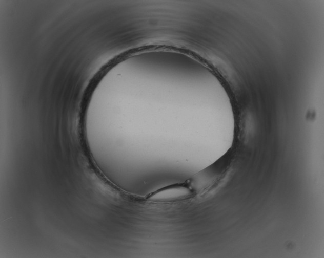 X0000094950880200712131620