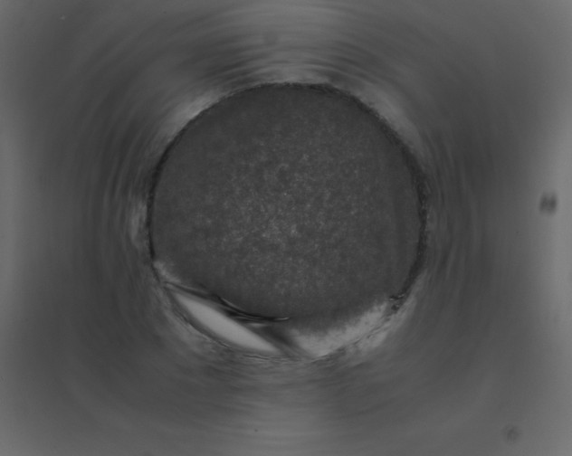 X0000094950881200712131620