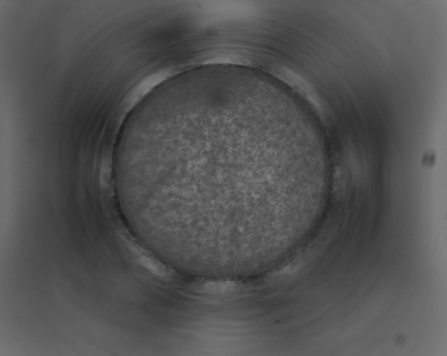 X0000094950882200712131620