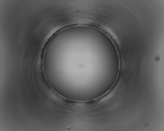 X0000094950883200712131620