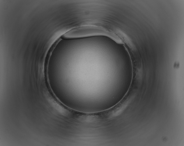 X0000094950884200712131620