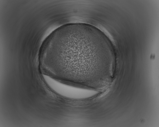 X0000094950885200712131620