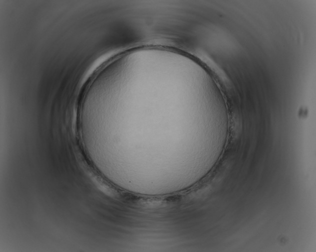 X0000094950886200712131620