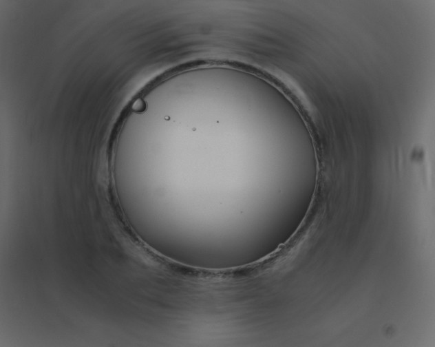 X0000094950887200712131620