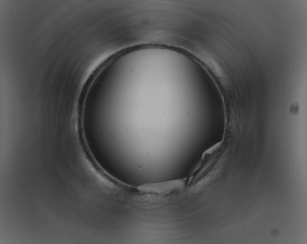 X0000094950888200712131620