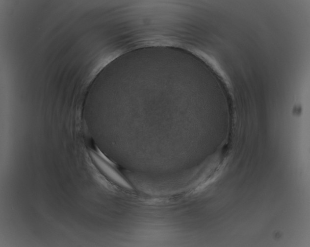 X0000094950889200712131620