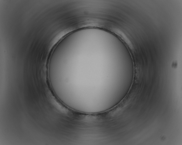 X0000094950890200712131620