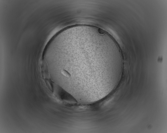 X0000094950891200712131620