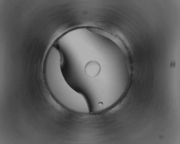 X0000094950892200712131620