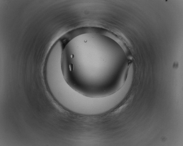 X0000094950893200712131620