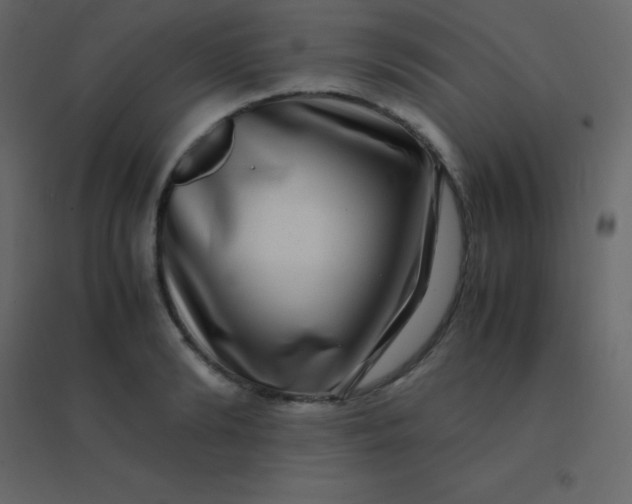 X0000094950894200712131619