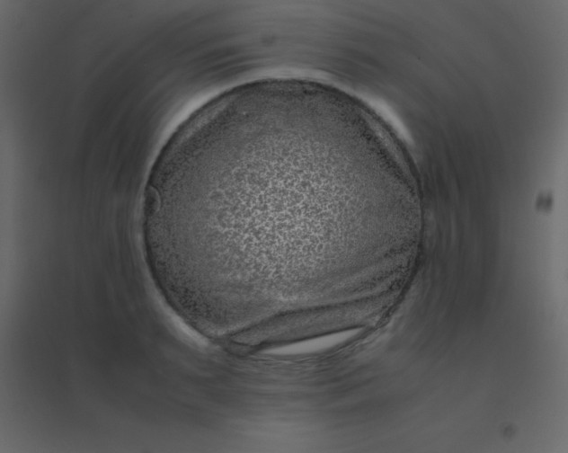 X0000094950895200712131619