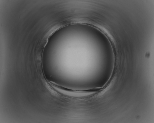 X0000094950897200712131619