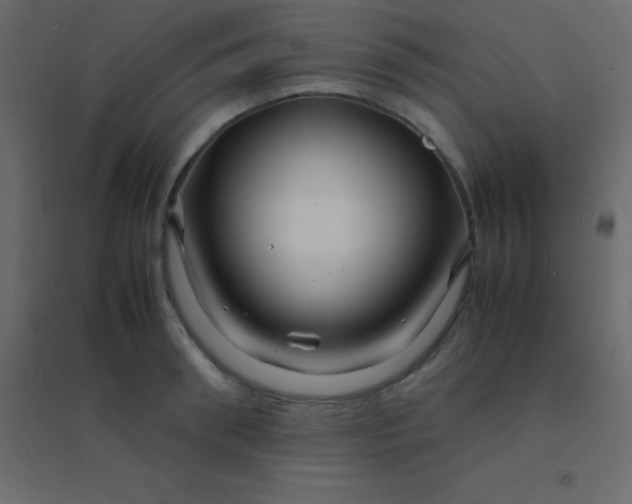 X0000094950898200712131619