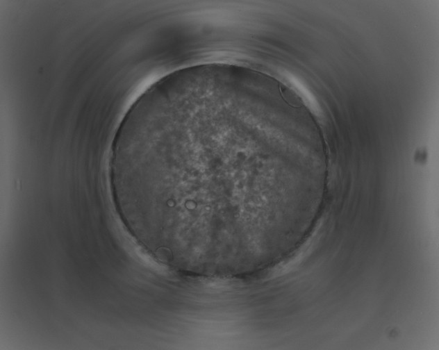 X0000094950899200712131619