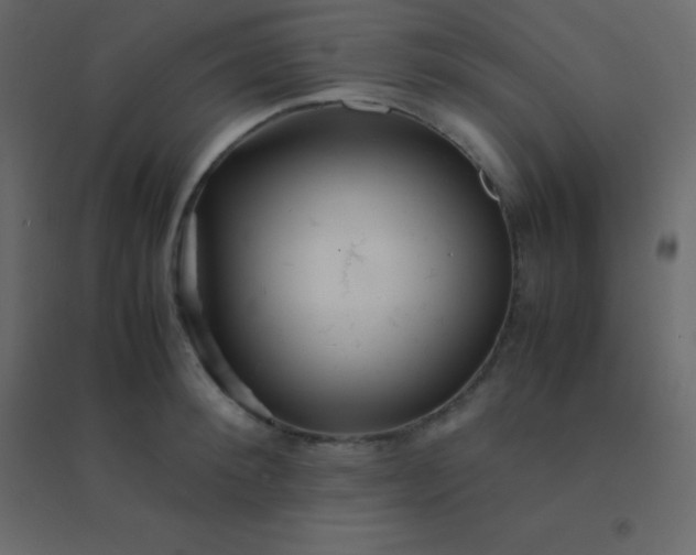 X0000094950900200712131619