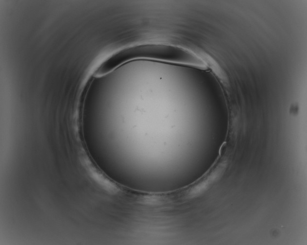 X0000094950904200712131619