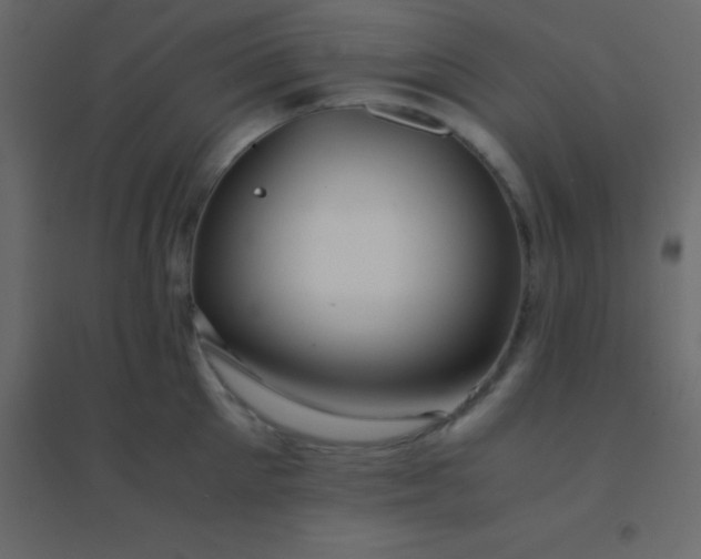 X0000094950905200712131619