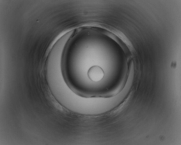 X0000094950908200712131619