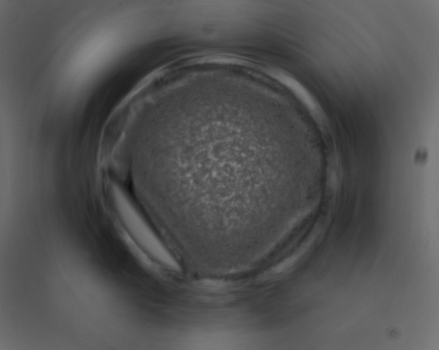 X0000094950910200712131619