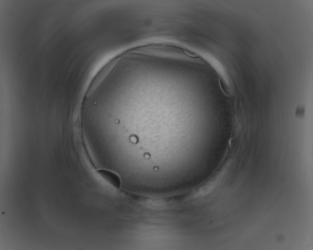 X0000094950911200712131619