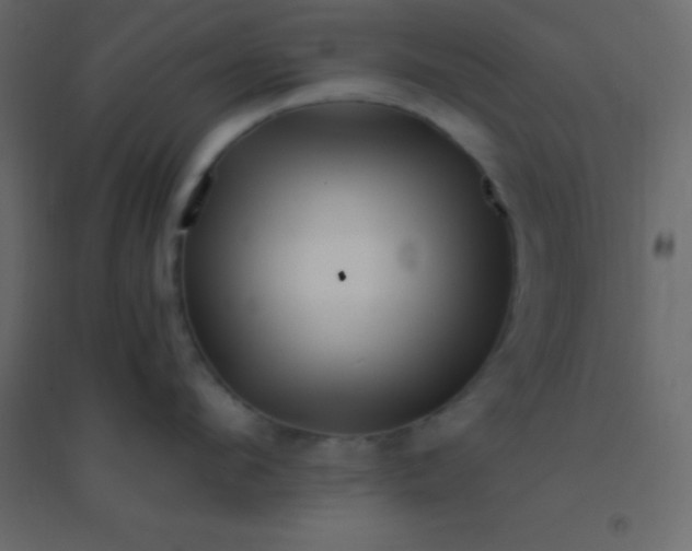 X0000094950912200712131619