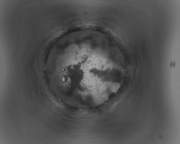 X0000094950913200712131619