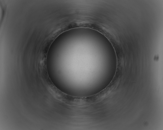 X0000094950914200712131619