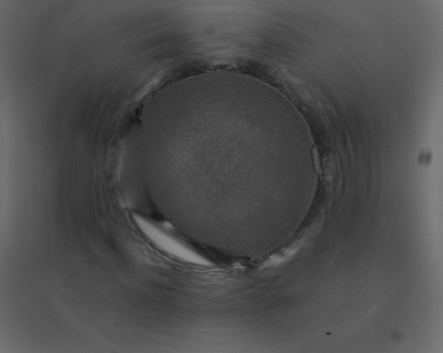 X0000094950916200712131619