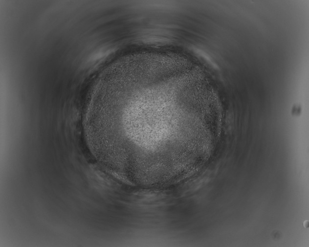 X0000094950917200712131619