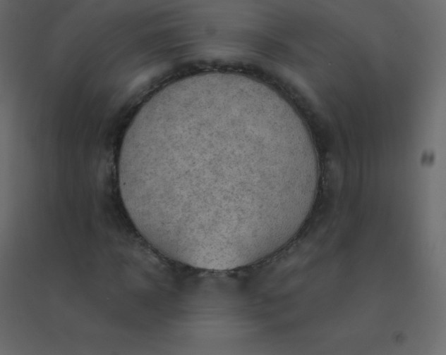 X0000094950918200712131619