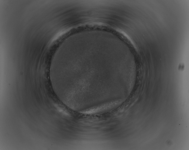 X0000094950919200712131619